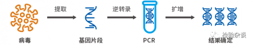 新冠病毒核酸&amp;抗体优缺点对比，联合检测结果如何判读？ ...