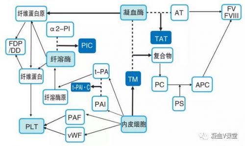 【检验项目】血栓新四项检测的临床意义与价值！
