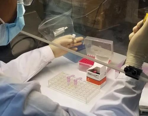 不同灭活方法对新冠病毒核酸检出率的影响