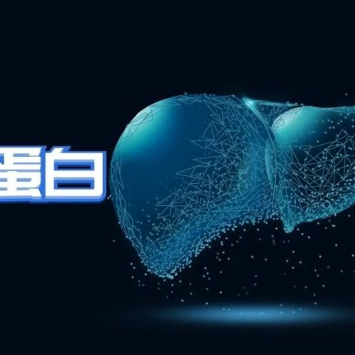 甲胎蛋白连涨了7个月，好慌！聊聊AFP与HCC