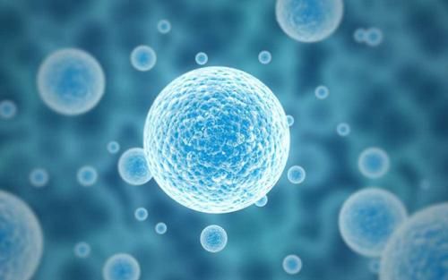 检验科微生物分子检测项目大全！