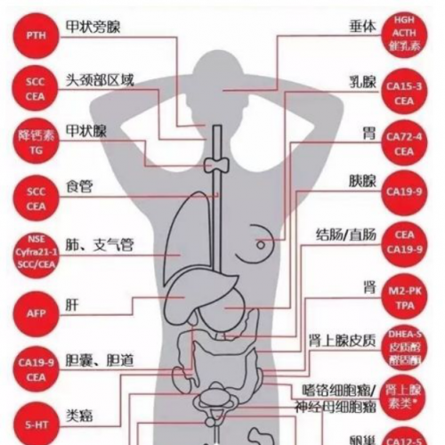最全肿瘤标志物大解读，不同指标升高，预示不同瘤型！