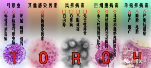 从卫健委临检中心室间质评数据看近5年TORCH检测的发展