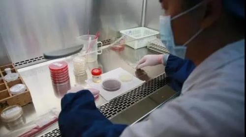 课件 | 病原学标本送检与采集规范