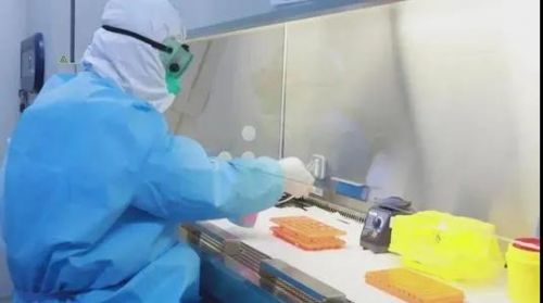 课件 | 新冠病毒核酸检测中的关键问题解答