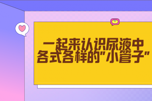 检验人，一起来认识尿液中各式各样的“小管子”！
