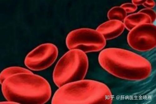 3分钟看懂总胆红素、直接胆红素、间接胆红素！