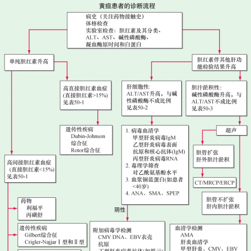 一图读懂黄疸患者的诊断流程