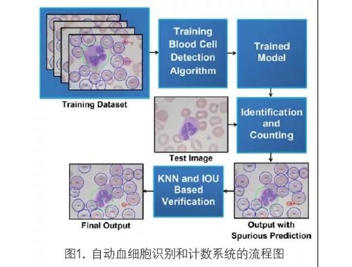 如果血细胞分析仪变身智能化的机器人，临检室将会……
