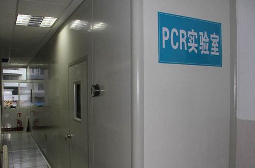 “万能”的PCR实验室可开展哪些检验项目？