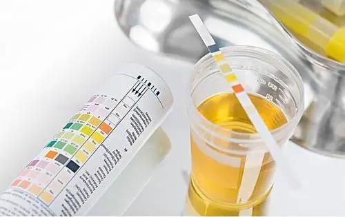 尿蛋白转阴后带来的风险，每个人都要注意！