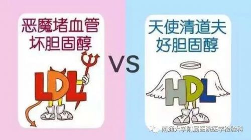 血脂报告单如何解读？记住这4个指标就可以了
