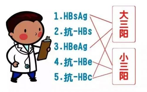 解读乙肝五项，其实很容易