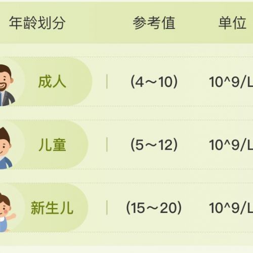白细胞升高就是『发炎』了？WBC升高原因大盘点！