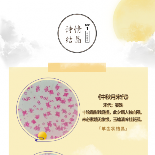 中秋特辑 ：检验人的「诗情画意」大赏，太美了！