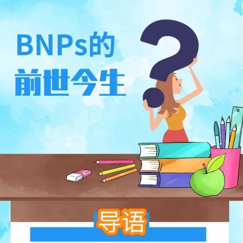 三问BNPs—一文了解BNPs的前世今生