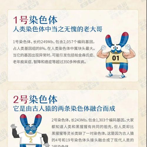 一文读懂 | 人类染色体家族，每个都那个独特！