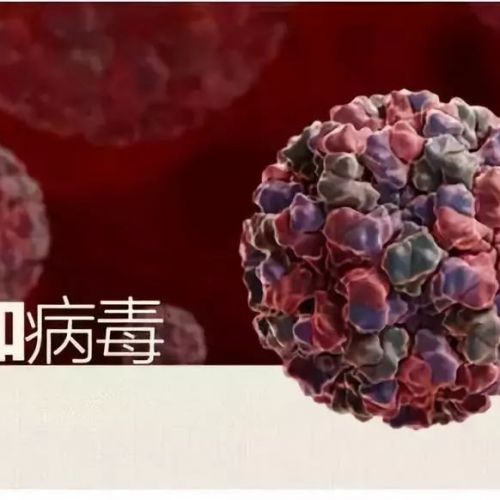 起病急、暴发多、传播快，无疫苗特效药！今冬这种病毒感染数远超新冠！ ... ...
