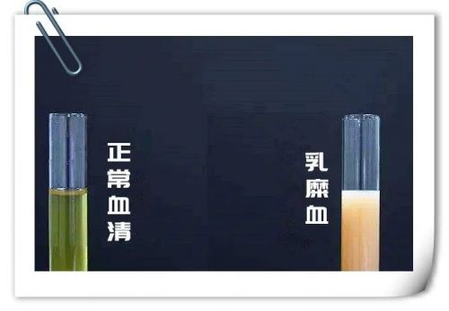 “我的前半生”——不合格标本的哭诉