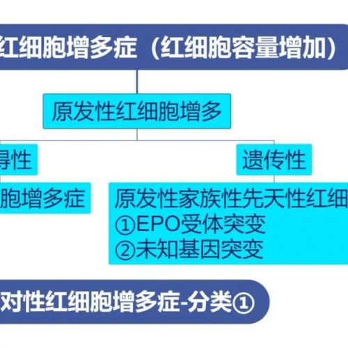 收藏 | 一文帮你梳理红细胞增多症的诊断思路