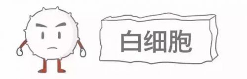 史上最形象体检报告漫画！值得收藏！