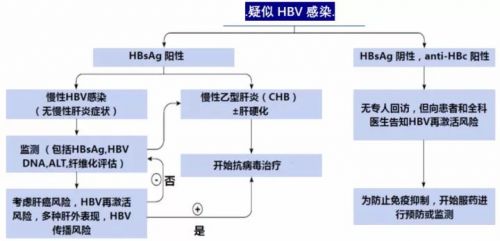 乙肝二对半解读方式，我们居然错误了几十年！