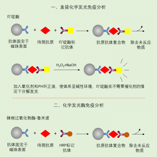 一图搞定两种化学发光免疫分析原理
