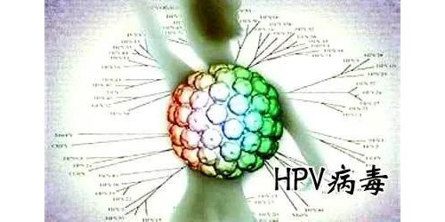 HPV病原学分型及临床应用