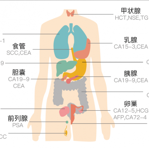 关于肿瘤标志物的3个问题