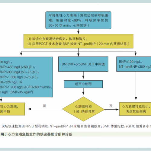 划重点——指南与共识：规范应用心肌肌钙蛋白和利钠肽现场快速检测专家共识（2020 年 ...