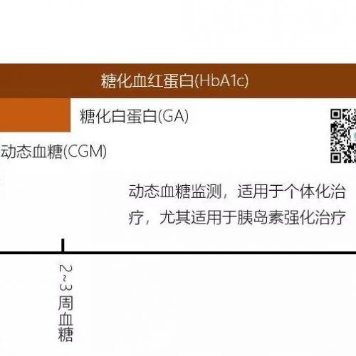 糖化血红蛋白，与糖化白蛋白有何区别？