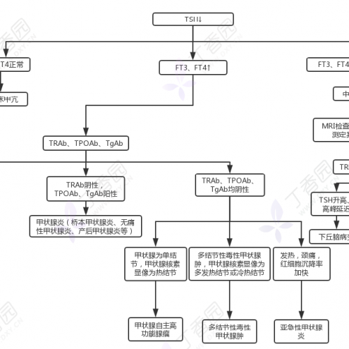 TSH、T₃、T₄、TRAb....甲功检查指标这么多，到底怎么看？
