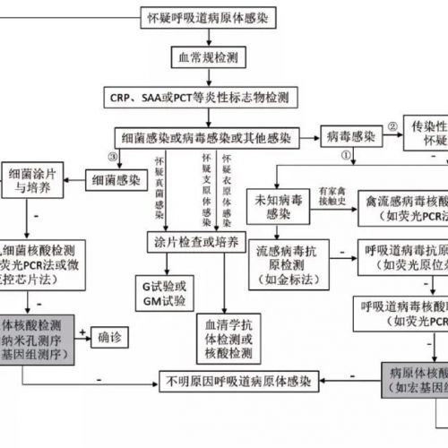 急性呼吸道感染病原体的临床检验诊断路径