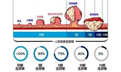 详解粪便潜血检测的结果解读和意义