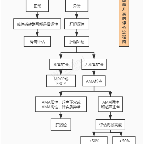 聊聊碱性磷酸酶的临床意义与应用