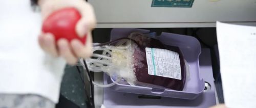 贫血就得先补铁？注意你是不是这类贫血