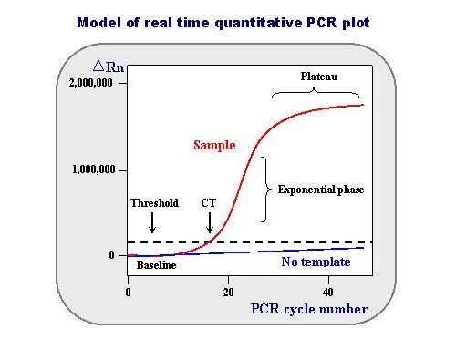 做qPCR，不要钻进“唯Ct值”的牛角尖！