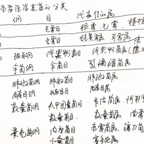 检验笔记 | 资深导师分享真菌检验经验