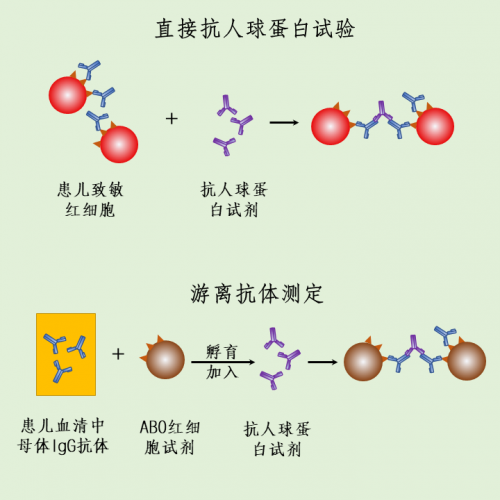一图 get 新生儿溶血