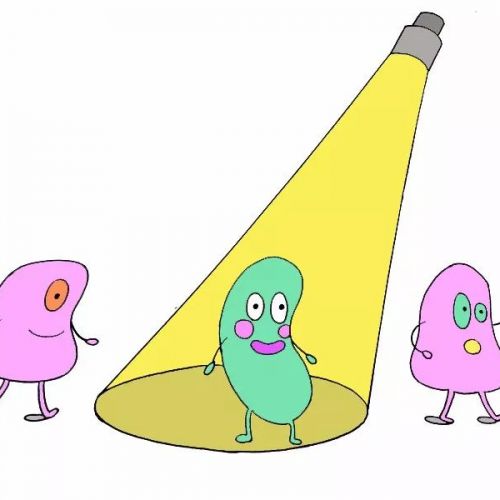 太好玩了，流式细胞检测这么解读你肯定能看懂！
