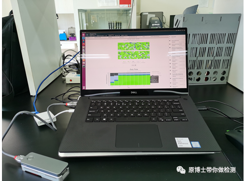 案例分享：三代测序对PRV、PCV2、PPV6混合感染的诊断