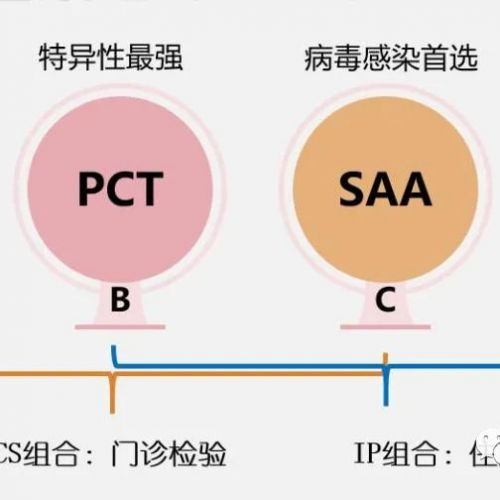 “IP”(IL-6+PCT)火了，怎么能少了“CS”(CRP+SAA)呢？限抗路上不孤单！ ...