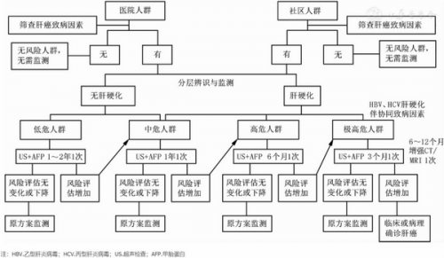 19条推荐 | 原发性肝癌的分层筛查与监测指南(2020版)