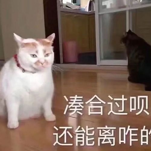 科室同事向你「诉苦」时，用这两句回复就够了