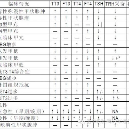 解读甲状腺激素各检测指标，这一篇就足够了！