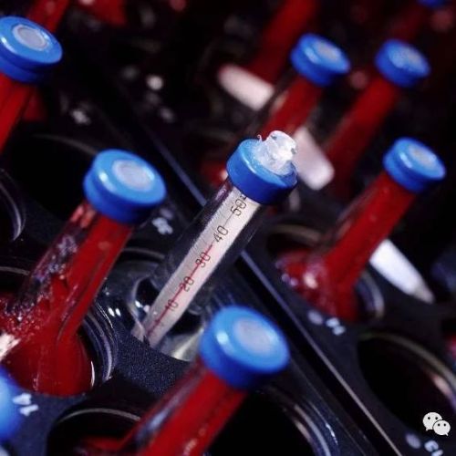 检验项目 | 血培养假阳性原因分析及判断方法