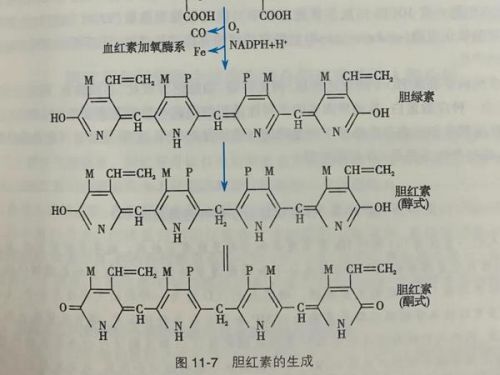 患者黄疸治疗 2 年无效，做了这个检查终于确诊