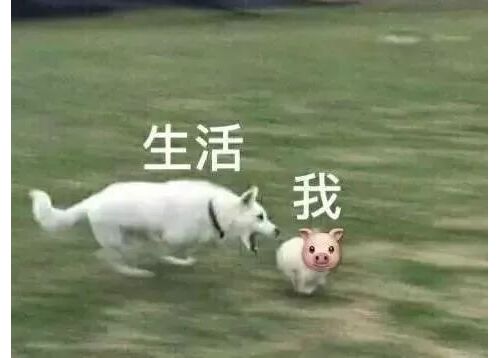 检验科最全表情包，太真实了！