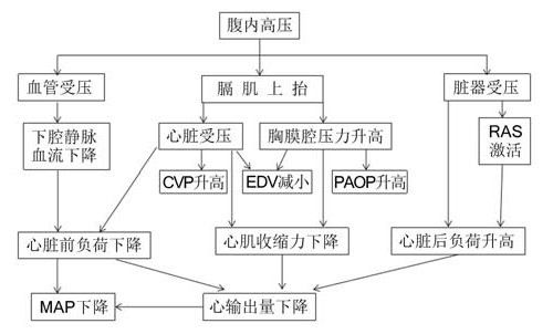 重症患者腹内高压的监测与管理，最新共识意见一览！