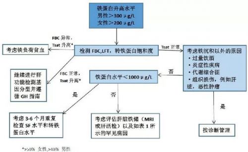 血清铁蛋白(SF)升高原因分析